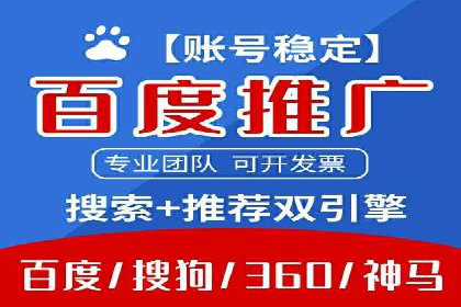 某某SEM团队成功提升网站流量与转化率的实战经验